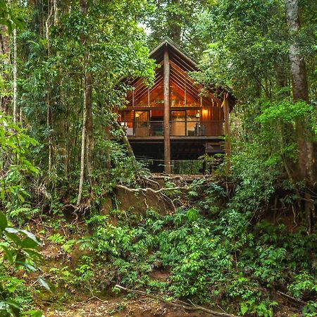 The Canopy Rainforest Treehouses & Wildlife Sanctuary Tarzali Esterno foto