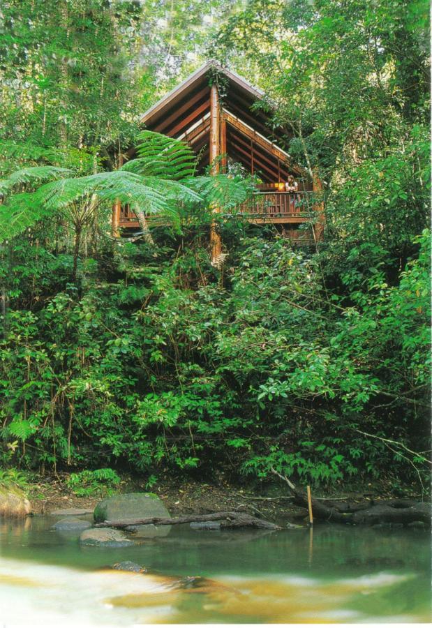 The Canopy Rainforest Treehouses & Wildlife Sanctuary Tarzali Esterno foto
